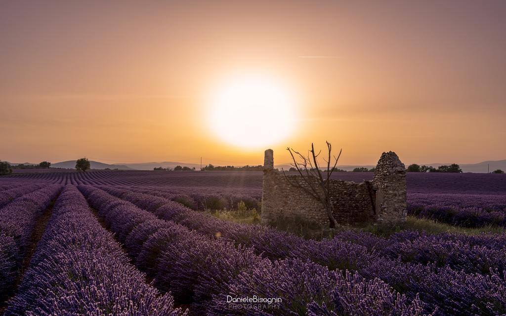 Les Terrasses De Valensole Bed and Breakfast Buitenkant foto