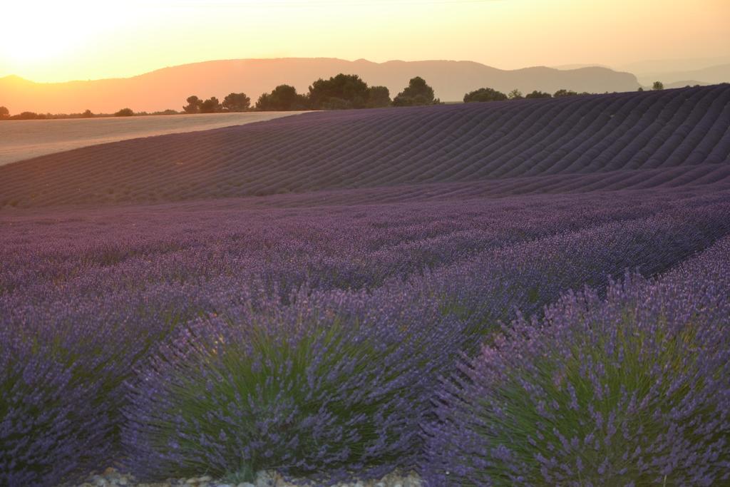 Les Terrasses De Valensole Bed and Breakfast Buitenkant foto