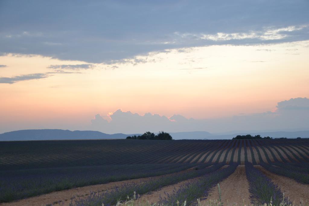 Les Terrasses De Valensole Bed and Breakfast Buitenkant foto