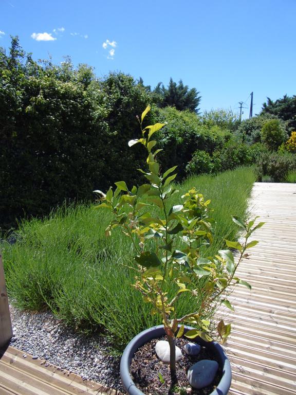 Les Terrasses De Valensole Bed and Breakfast Buitenkant foto