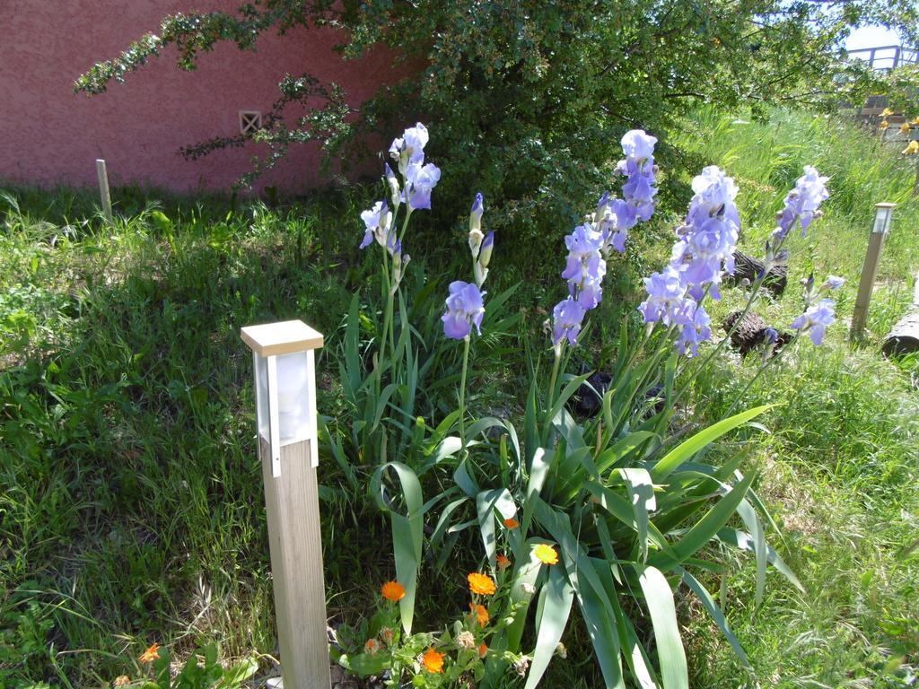 Les Terrasses De Valensole Bed and Breakfast Buitenkant foto