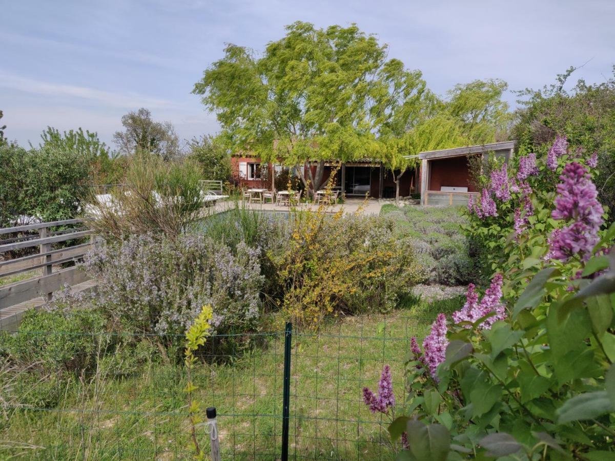 Les Terrasses De Valensole Bed and Breakfast Buitenkant foto